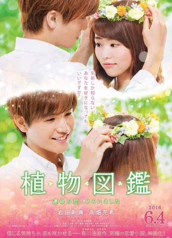 فيلم Evergreen Love 2016