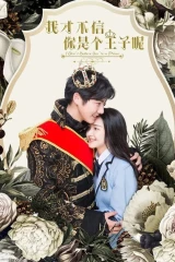 فيلم I Don't Believe You're A Prince / لا أعتقد أنك أمير 2020