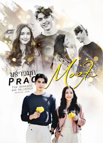 Praomook / براوموك