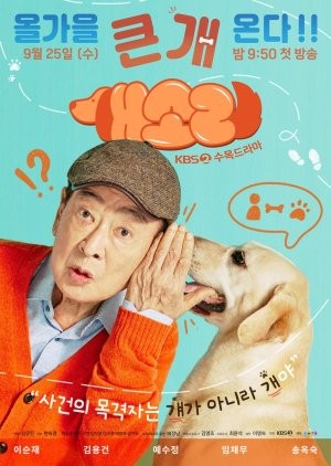 Dog Knows Everything / الكلب يعرف كل شيء